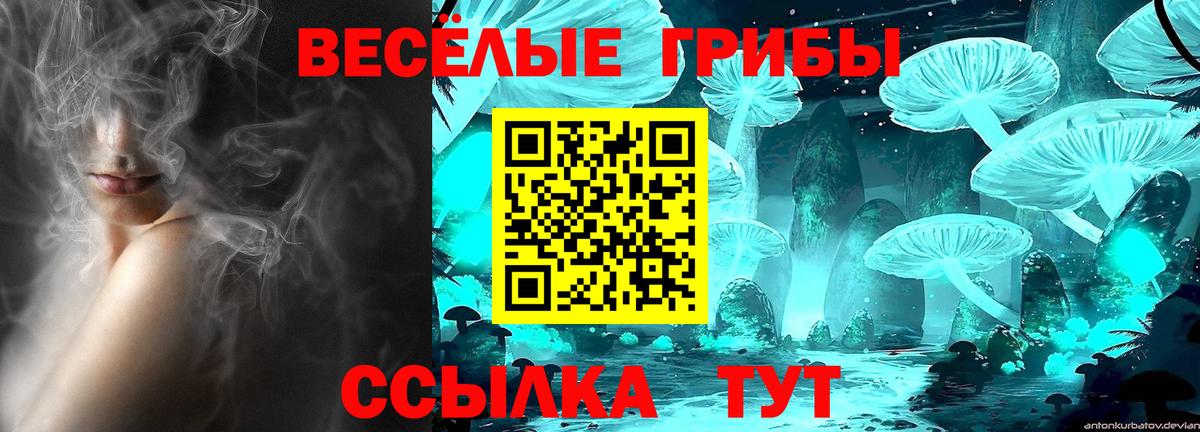 Галлюциногенные грибы Cubensis Кировск