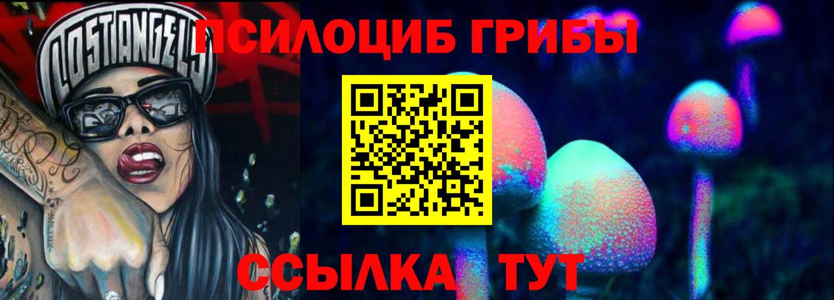 Галлюциногенные грибы прущие грибы  Кировск  Псилоцибиновые грибы Cubensis 