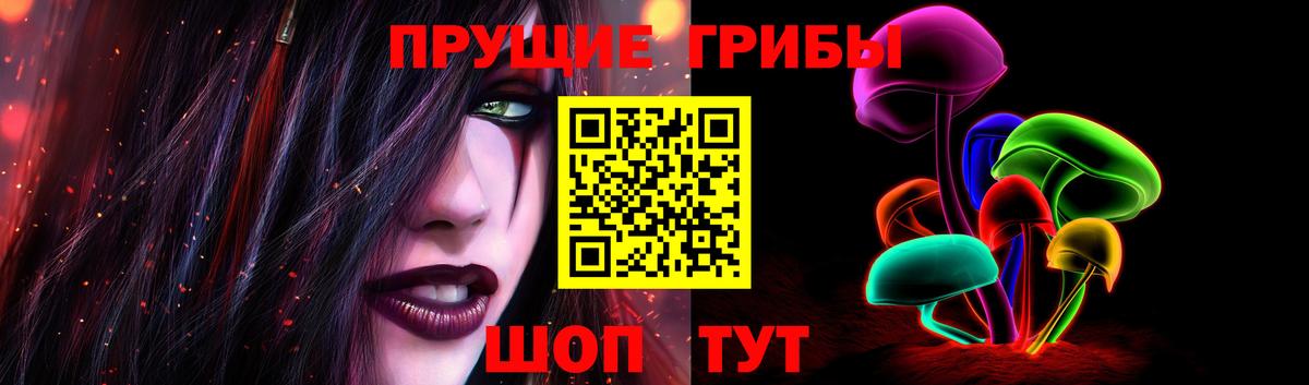 Псилоцибиновые грибы MAGIC MUSHROOMS  Вход с VPN  Кировск 